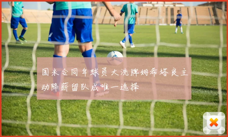 国米合同年球员大洗牌姆希塔良主动降薪留队成唯一选择