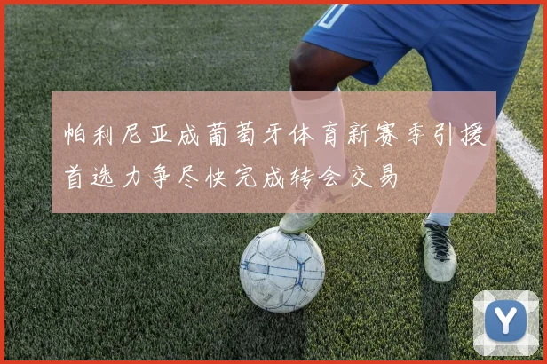 帕利尼亚成葡萄牙体育新赛季引援首选力争尽快完成转会交易